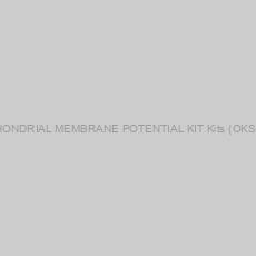 Image of MITOCHONDRIAL MEMBRANE POTENTIAL KIT Kits (OKSA11298)